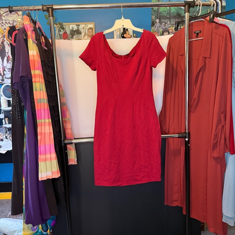 Elie Tahari size 6 Elegant Red Dress - Picture 1 of 5